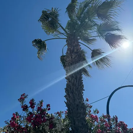 Seaside Serenity Apartment Torrevieja