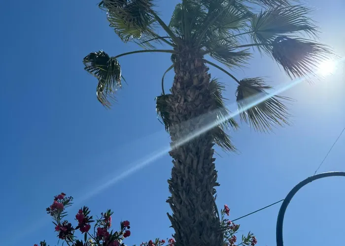 Seaside Serenity Appartement Torrevieja